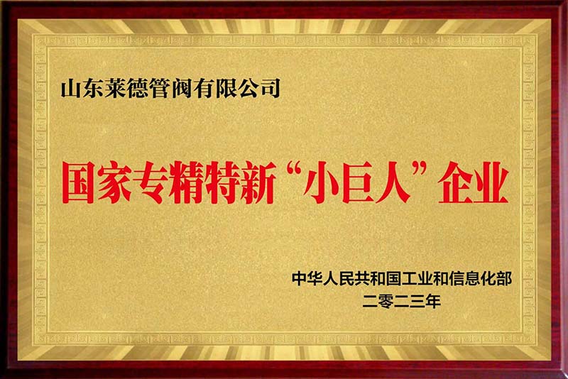 山東萊德管閥有限公司榮膺國家級(jí)專精特新“小巨人”企業(yè)
